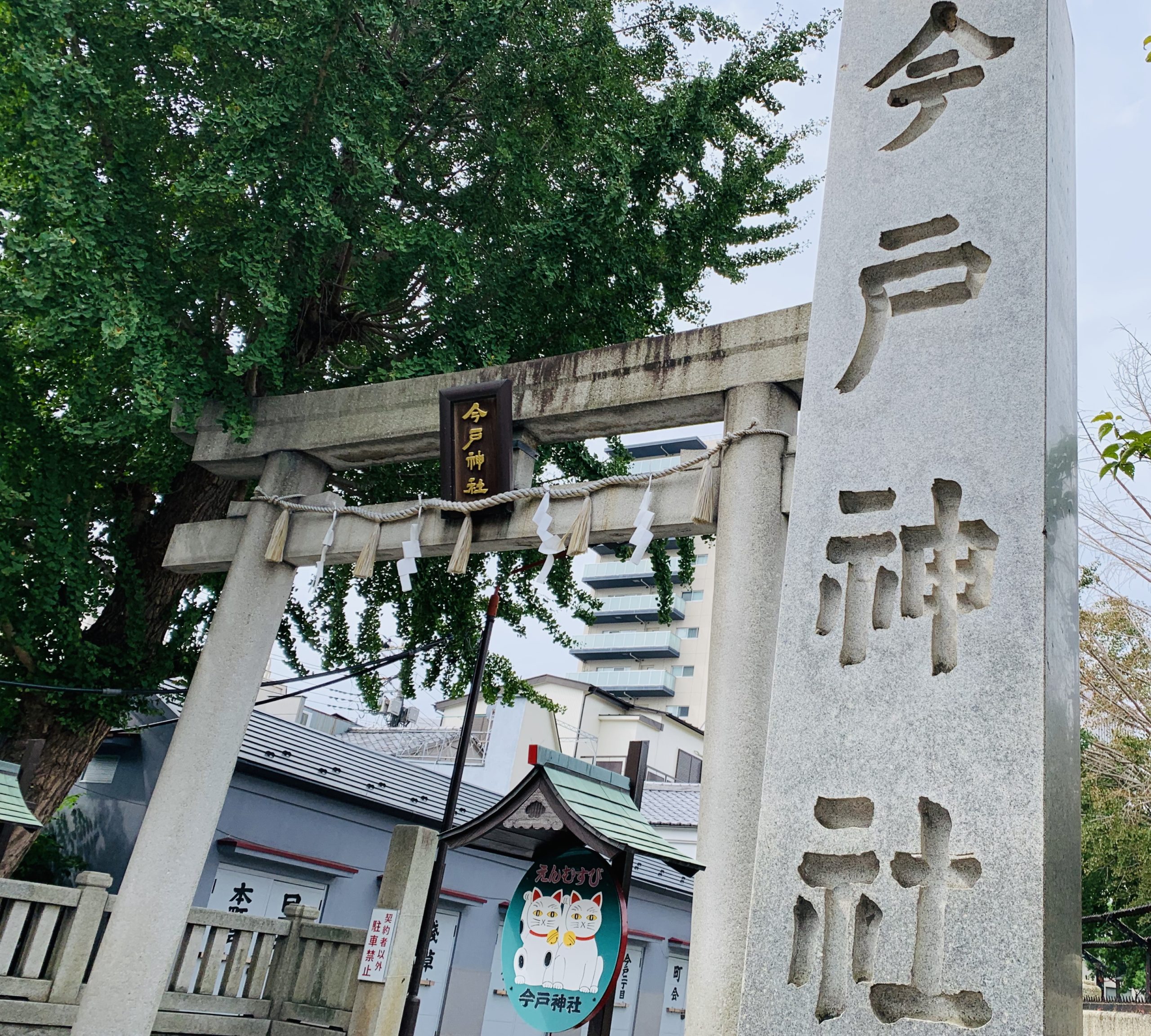 今戸神社 浅草パワースポット 招き猫発祥の地 恋 も 福 も招いちゃおう 恋つづ 夏目友人帳 の聖地巡礼も