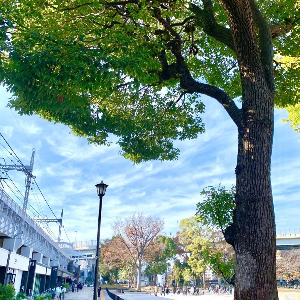 隅田公園を望む”東京ミズマチ”
